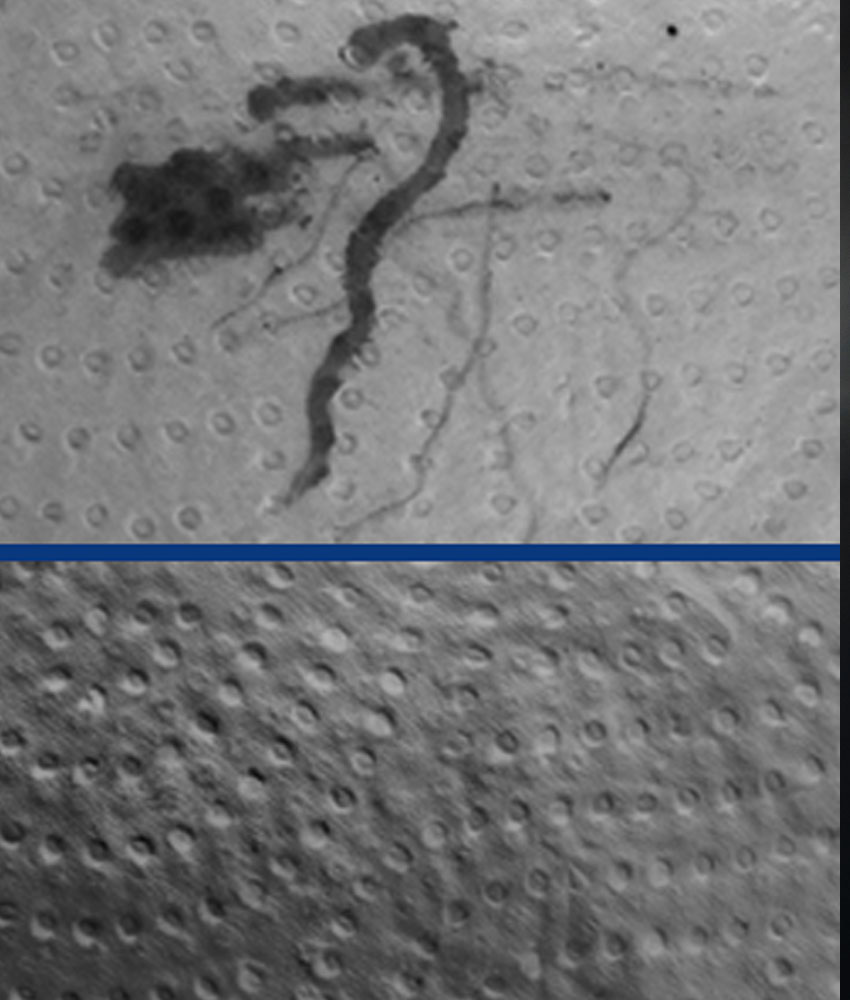 qmtrelief- Hochgeschwindigkeits-Bildaufnahme mit erhöhtem Relief